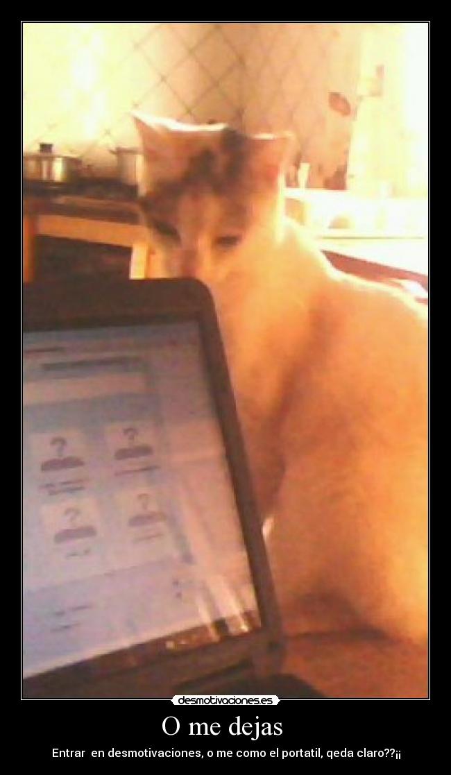 O me dejas - Entrar en desmotivaciones, o me como el portatil, qeda claro??¡¡