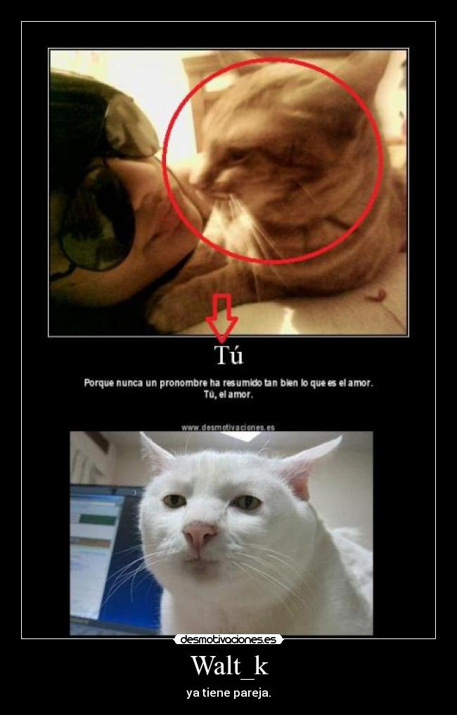 carteles pablovalverdeperezgdp desmotivaciones