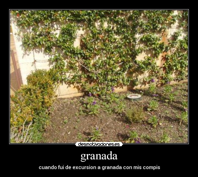 granada -