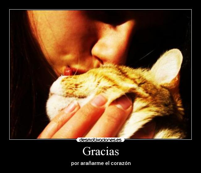 Gracias -