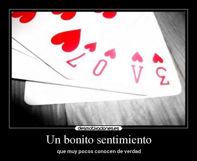 Un bonito sentimiento - 