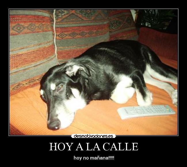 HOY A LA CALLE - hoy no mañana!!!!!