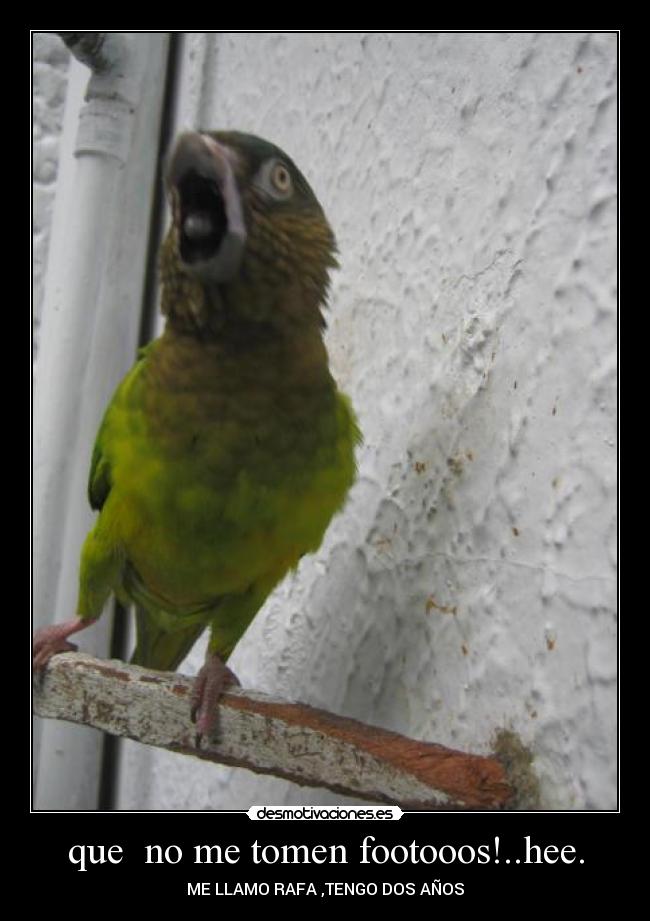 que no me tomen footooos!..hee. -