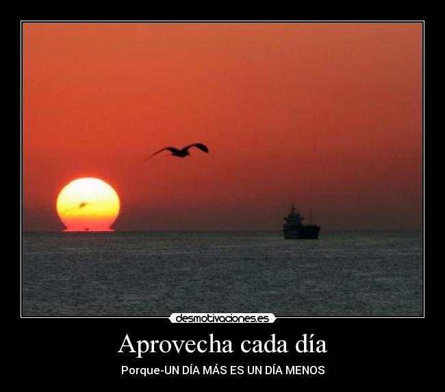 Aprovecha cada día -