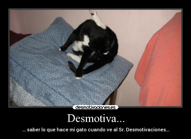 Desmotiva... - 
