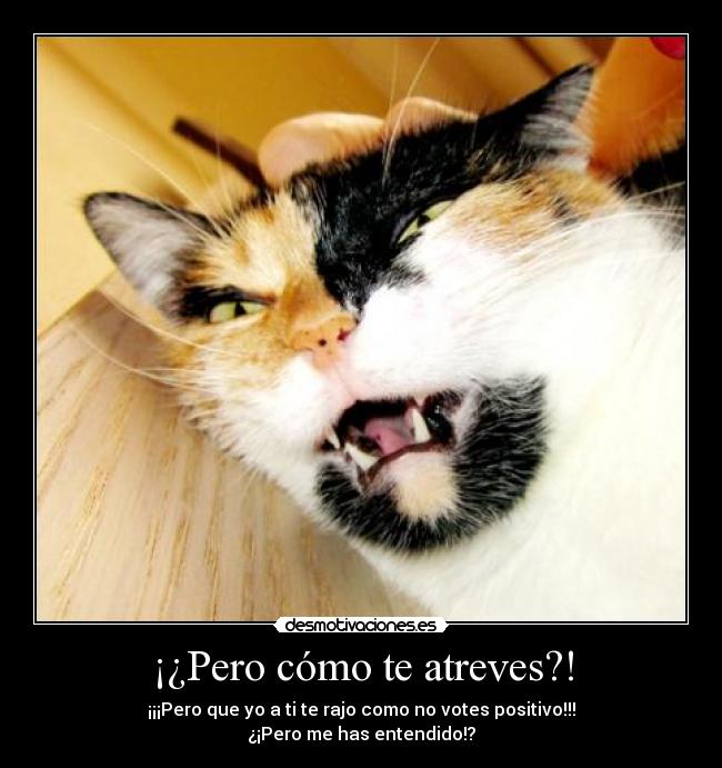 ¡¿Pero cómo te atreves?! -
