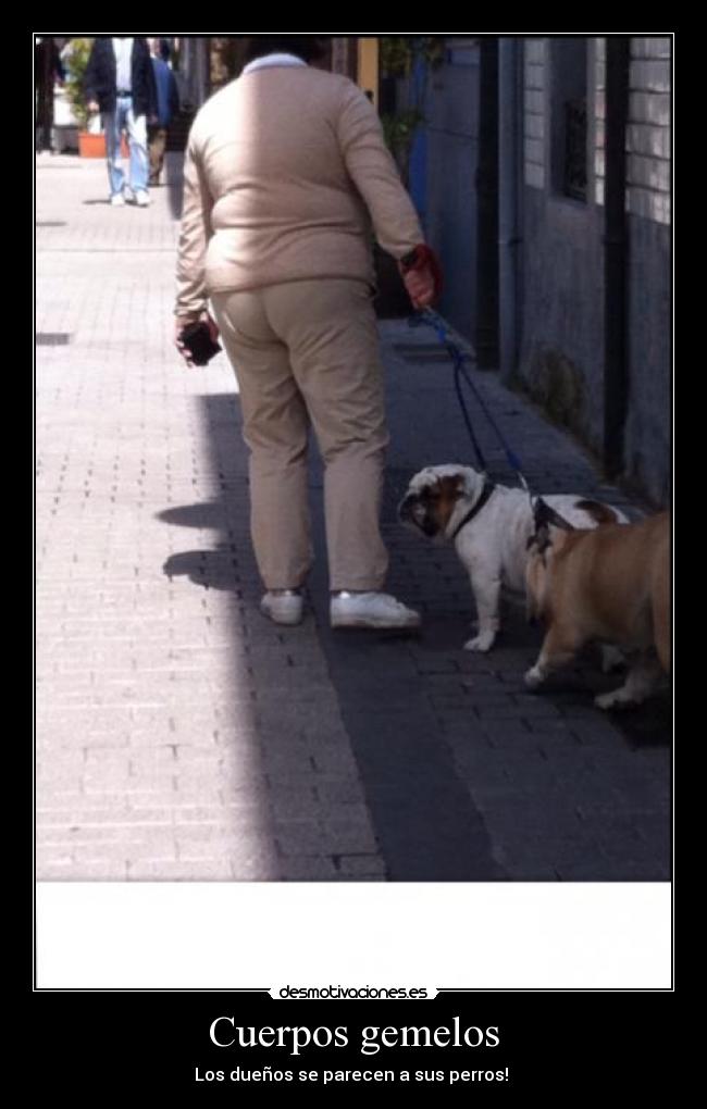 carteles diversion desmotivaciones