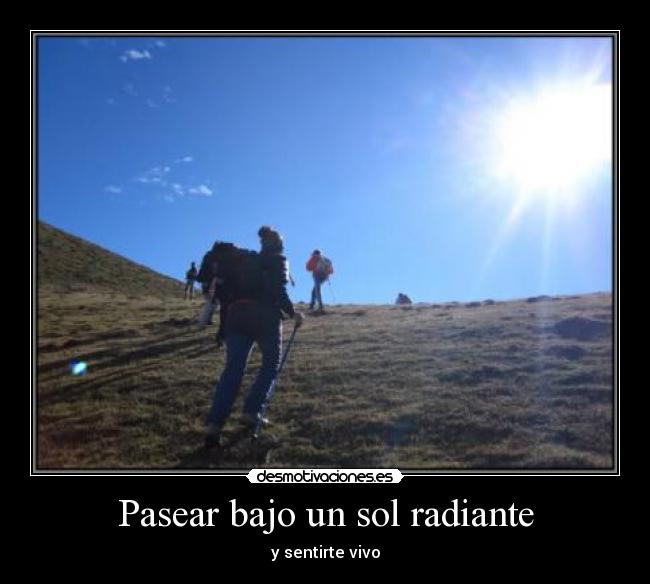 Pasear bajo un sol radiante - 