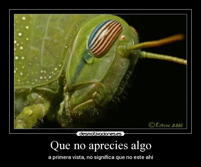 carteles apreciar desmotivaciones