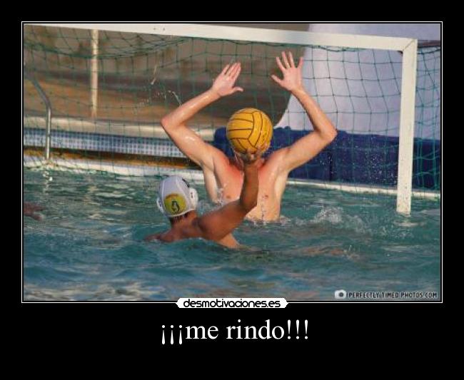 ¡¡¡me rindo!!! - 