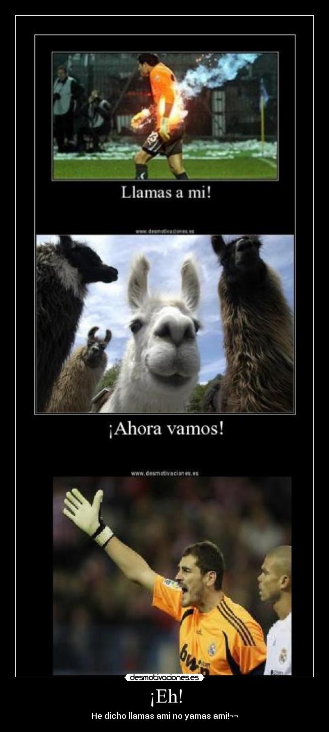 ¡Eh! - He dicho llamas ami no yamas ami!¬¬