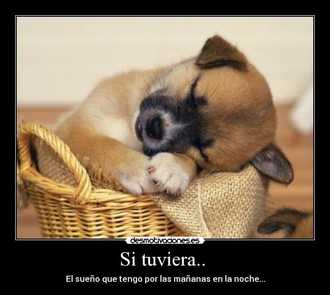 carteles desmotivaciones
