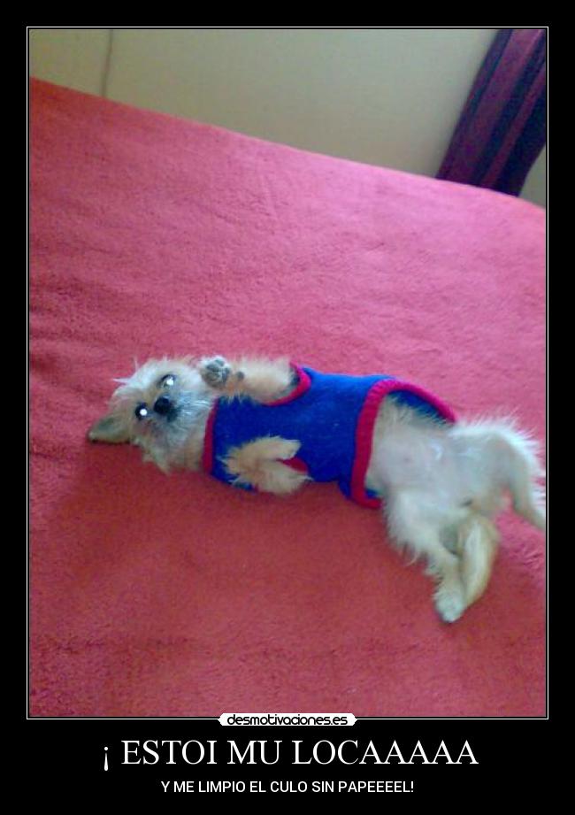 ¡ ESTOI MU LOCAAAAA -