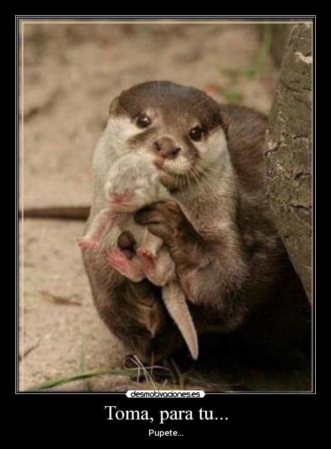 Toma, para tu... - Pupete...