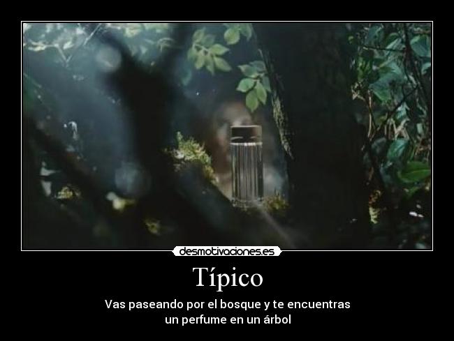 Típico -