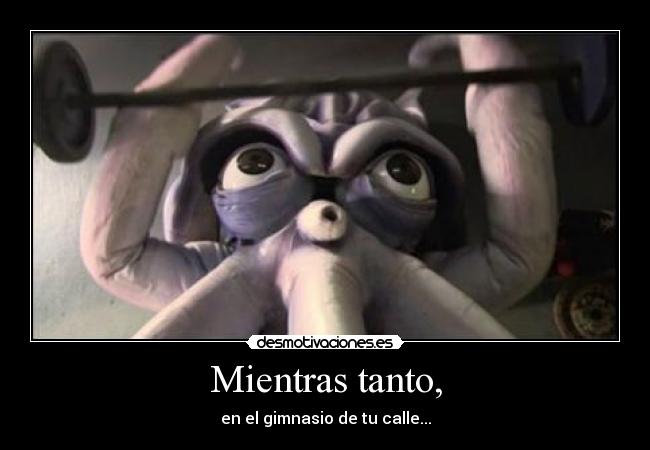 Mientras tanto, - en el gimnasio de tu calle...