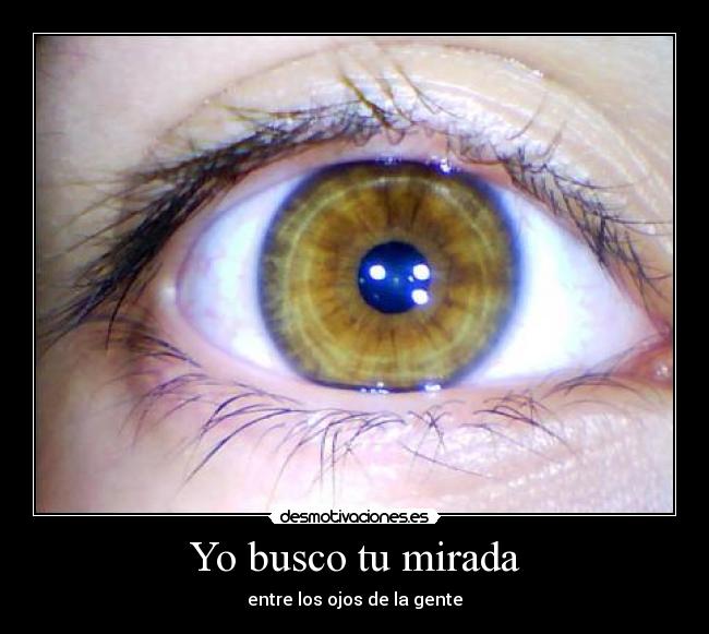 Yo busco tu mirada - 