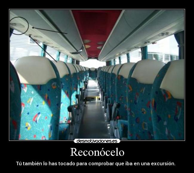 Reconócelo - Tú también lo has tocado para comprobar que iba en una excursión.  