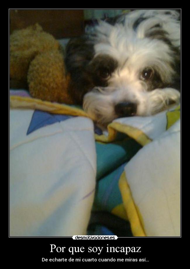 Por que soy incapaz - 