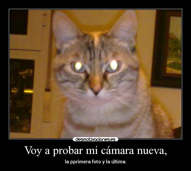 Voy a probar mi cámara nueva, - 