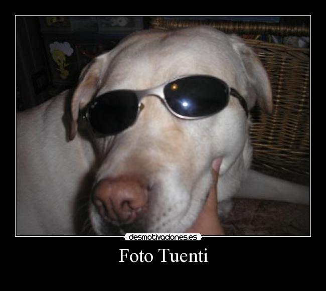 carteles tuenti jajaja desmotivaciones