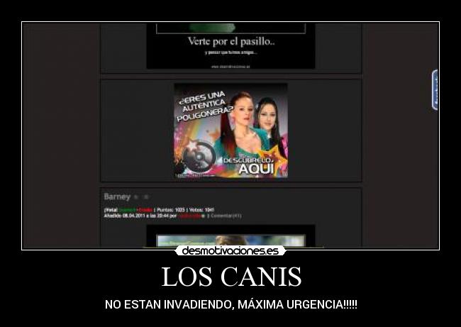 LOS CANIS - 