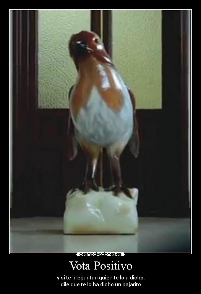 Vota Positivo - 