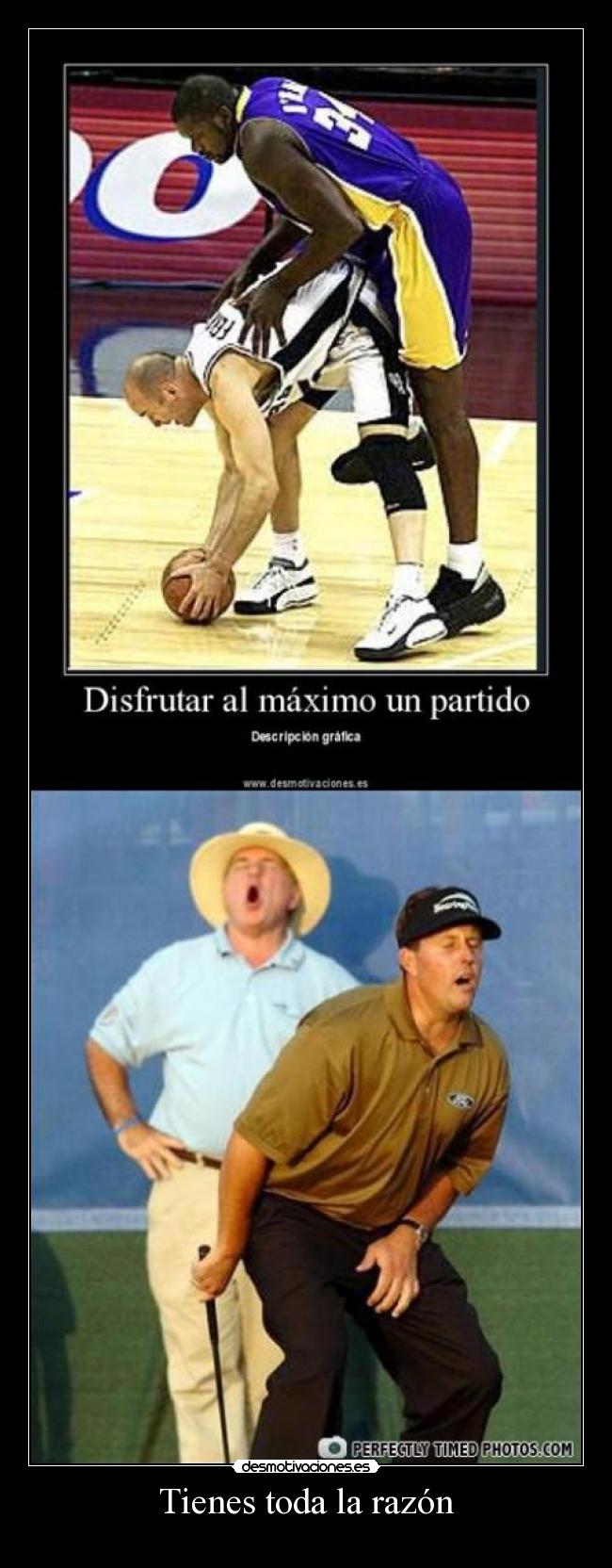 Tienes toda la razón - 