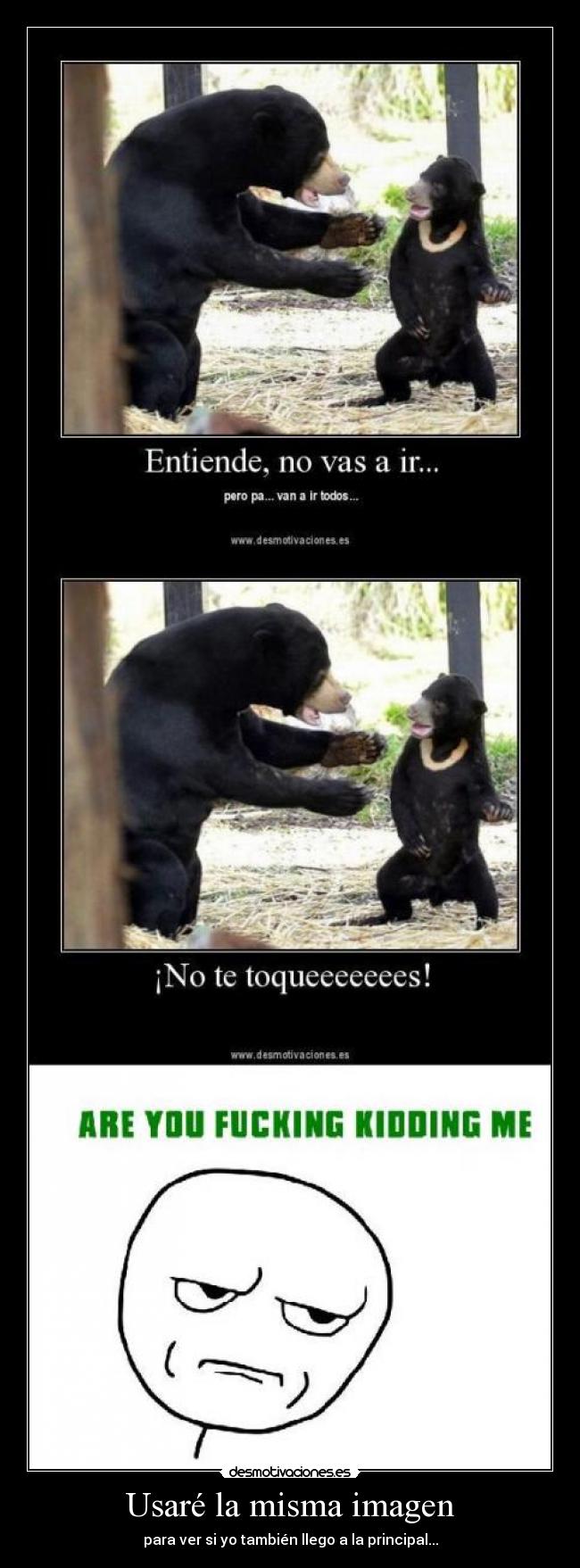 carteles imagen repeticion are you fucking kidding desmotivaciones