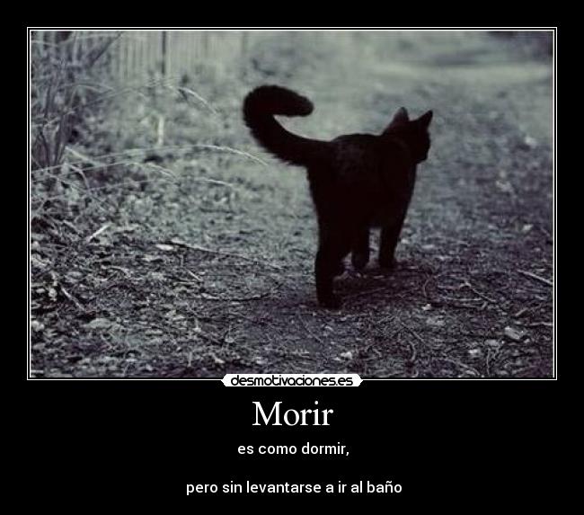 Morir - es como dormir,

 pero sin levantarse a ir al baño