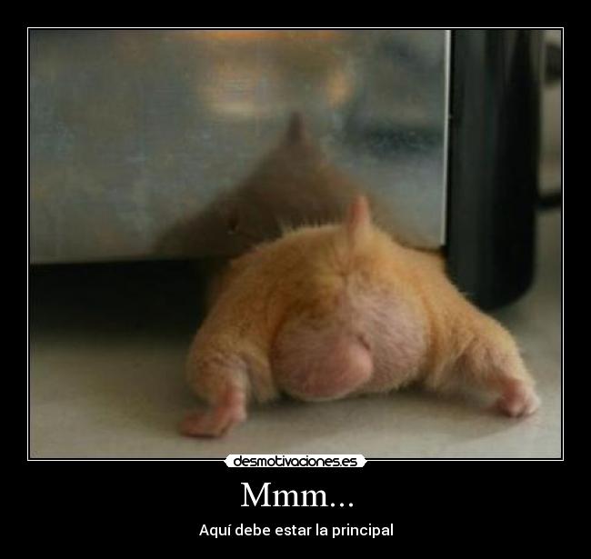 Mmm... - Aquí debe estar la principal