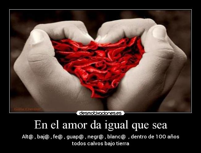 En el amor da igual que sea - Alt@ , baj@ , fe@ , guap@ , negr@ , blanc@ , dentro de 1OO años
todos calvos bajo tierra