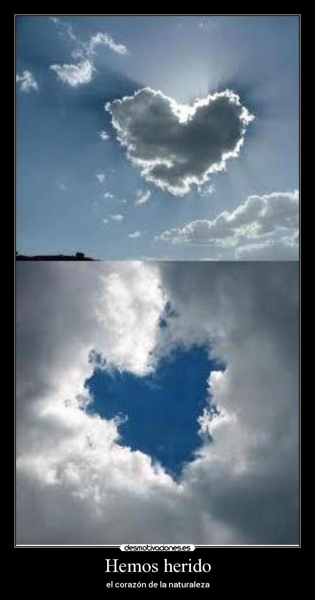 Hemos herido - 