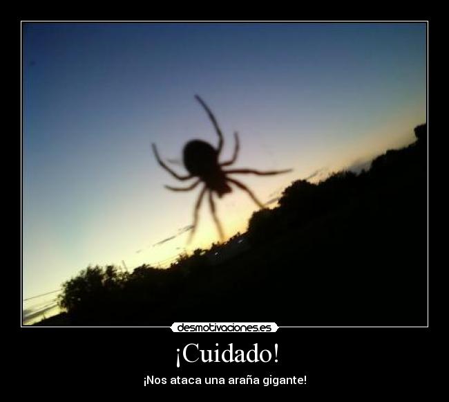 ¡Cuidado! - 