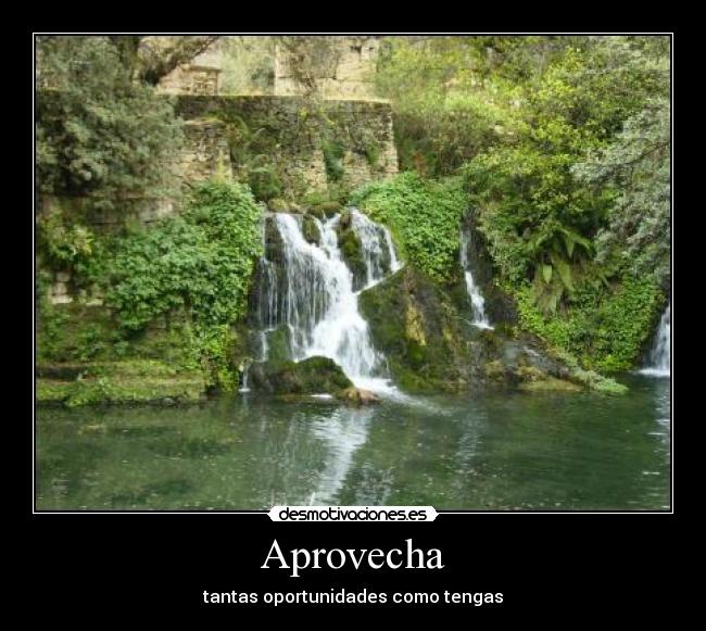 Aprovecha - tantas oportunidades como tengas