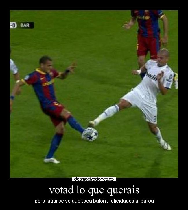 votad lo que querais -