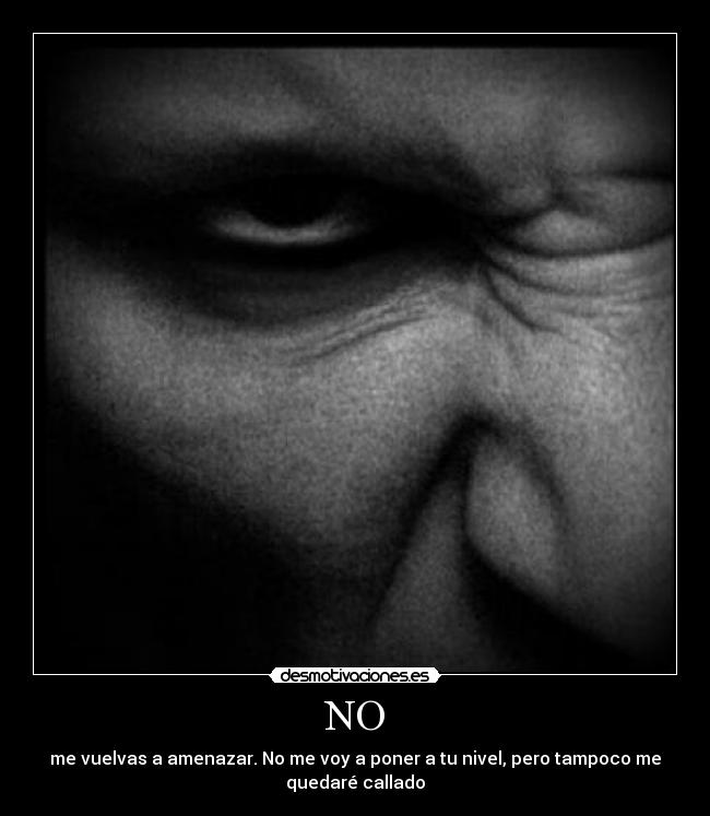 NO - me vuelvas a amenazar. No me voy a poner a tu nivel, pero tampoco me
quedaré callado