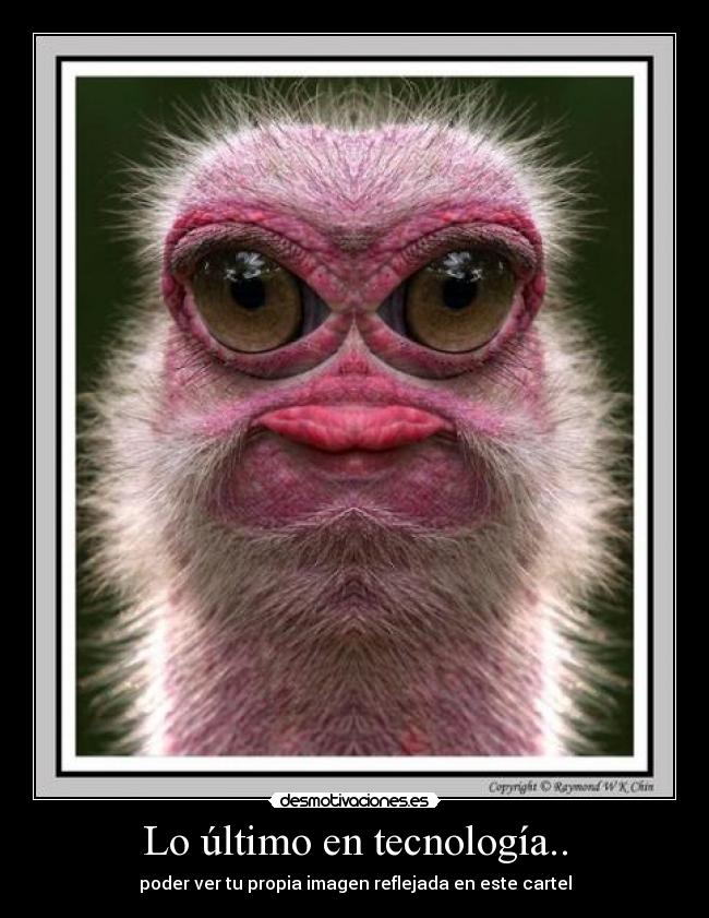 Lo último en tecnología.. - poder ver tu propia imagen reflejada en este cartel