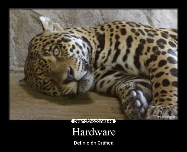 Hardware - Definición Gráfica