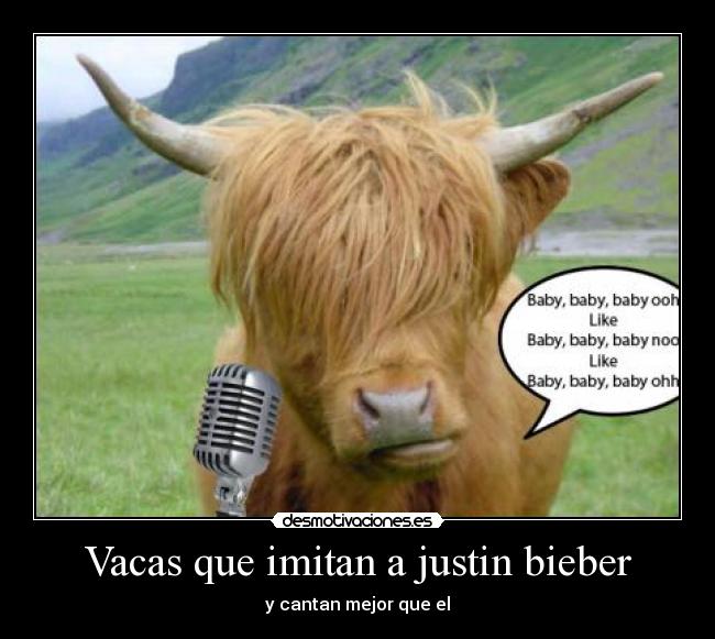 carteles vaca justin bieber baby desmotivaciones