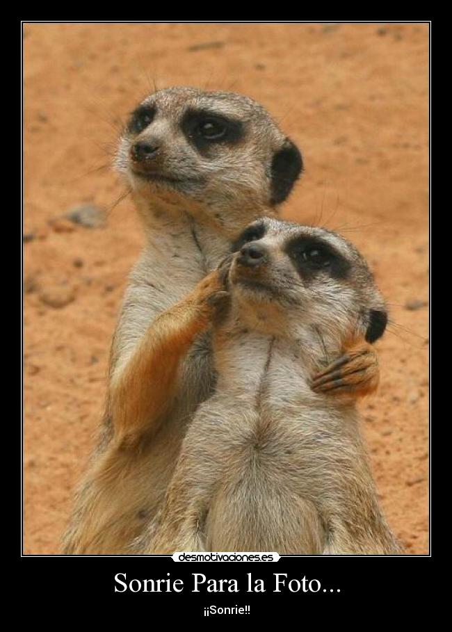 Sonrie Para la Foto... - ¡¡Sonrie!!