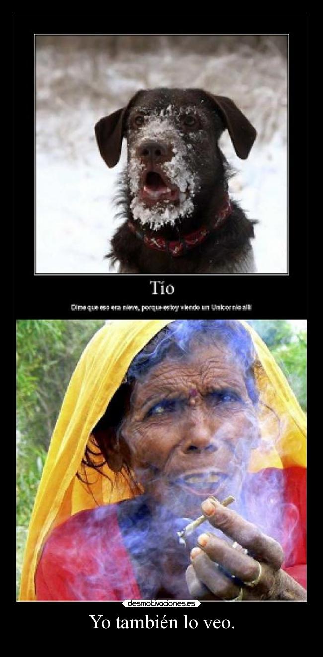 Yo también lo veo. -