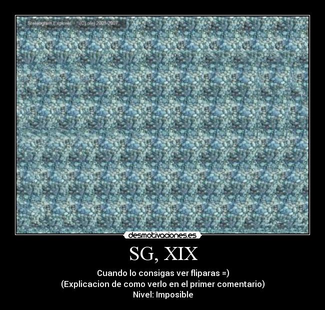 SG, XIX -