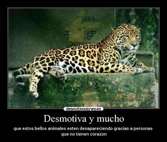 Desmotiva y mucho - 