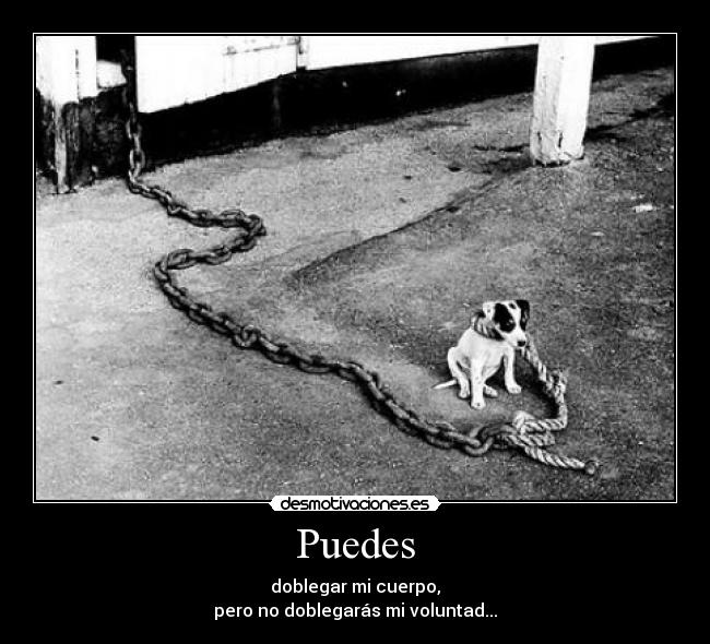 Puedes -