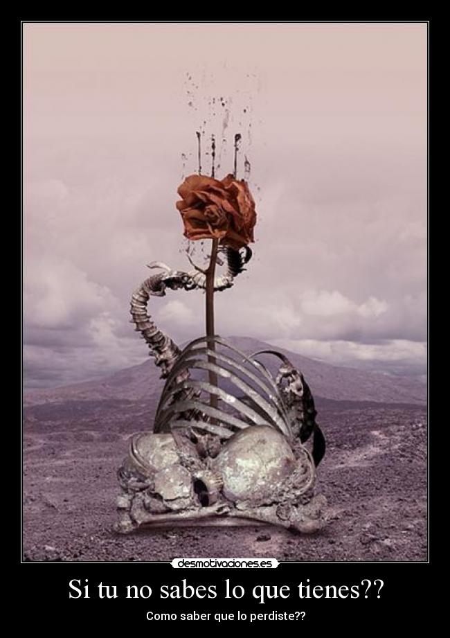 Si tu no sabes lo que tienes?? - Como saber que lo perdiste??