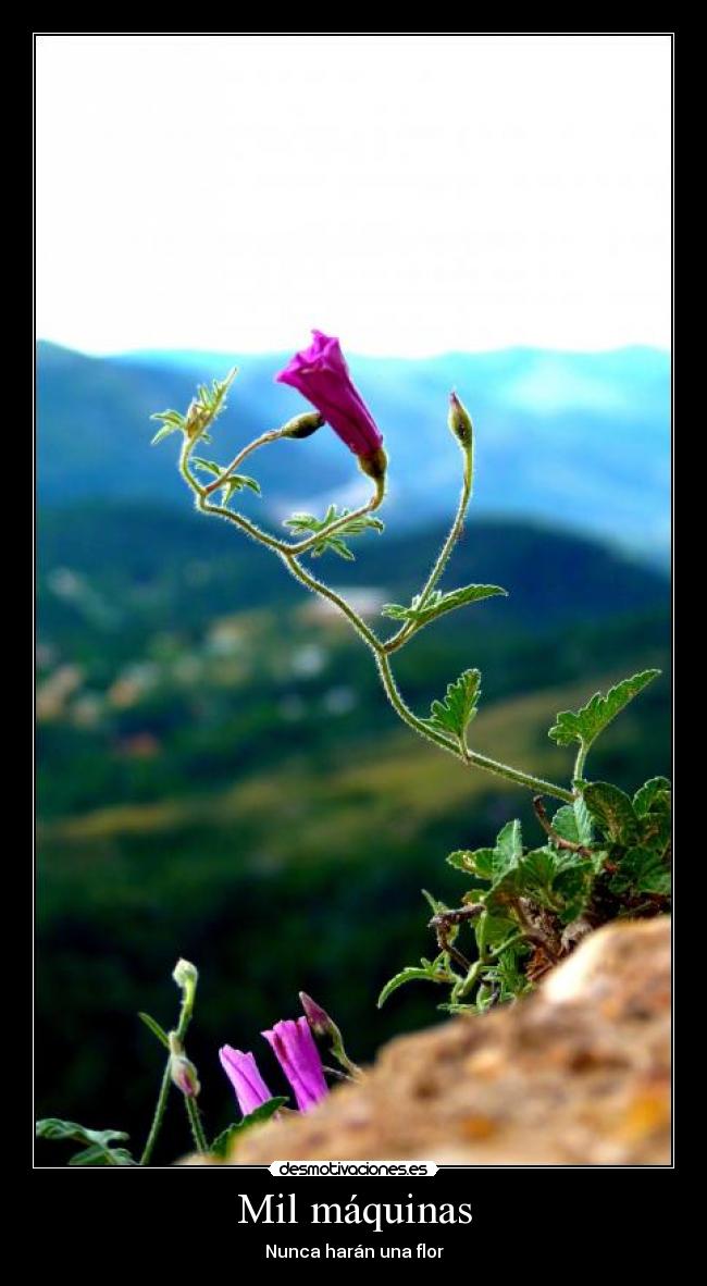 Mil máquinas - Nunca harán una flor