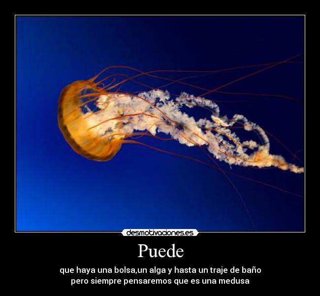 Puede -