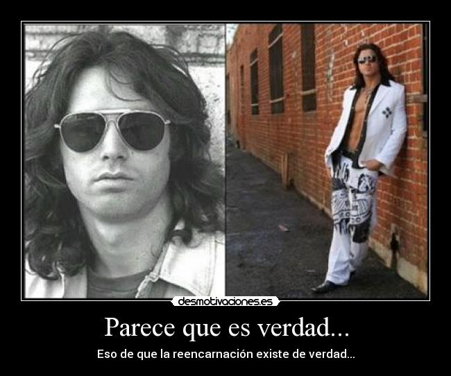 Parece que es verdad... - Eso de que la reencarnación existe de verdad...