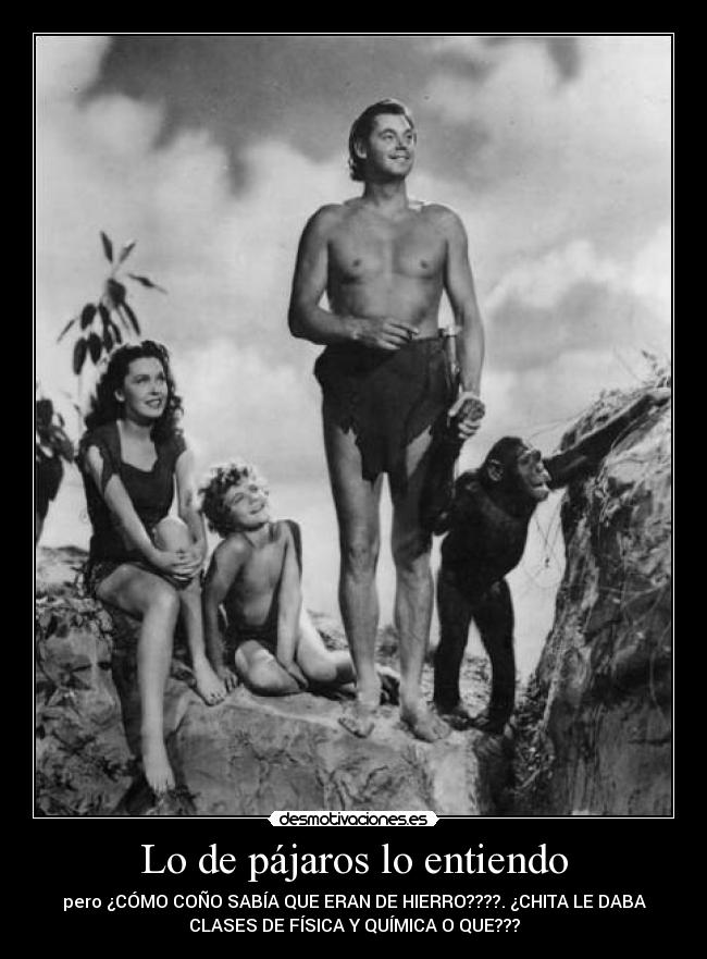 Lo de pájaros lo entiendo -